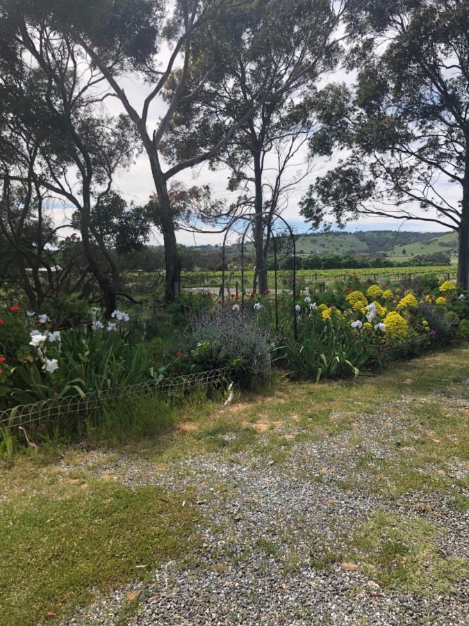 Bethany Cottages Bagian luar foto
